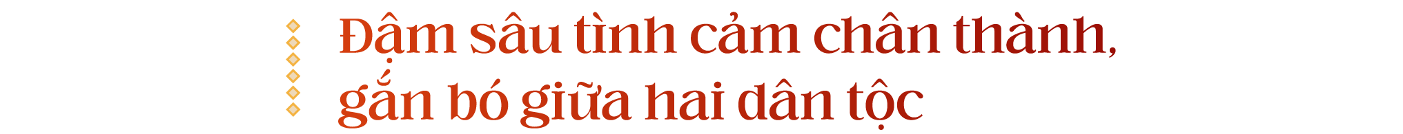 emg2_bai5.webp